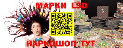 соль ск Новозыбков