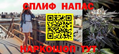соль ск Новозыбков