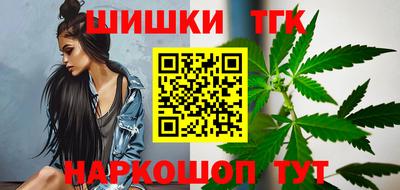 МДПВ Новодвинск