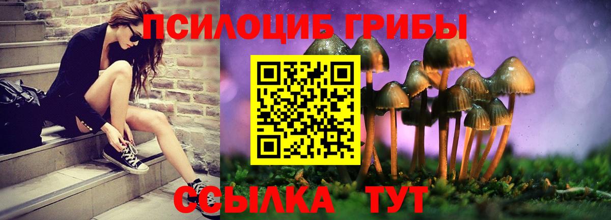 Псилоцибиновые грибы прущие грибы Сосновоборск